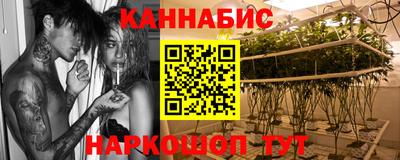 шишки Балахна