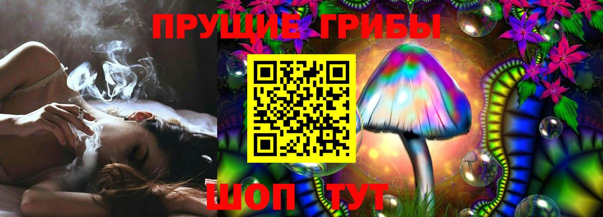 Псилоцибиновые грибы GOLDEN TEACHER  хочу наркоту  Вход с VPN  Гусев  Галлюциногенные грибы мухоморы 
