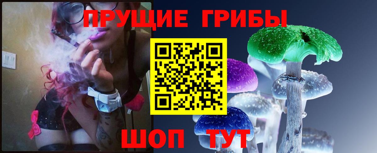 Псилоцибиновые грибы прущие грибы Гусев